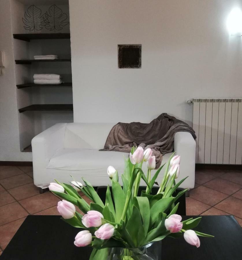 Cortile Del Forno Nel Centro Storico Apartment Arona Exterior photo